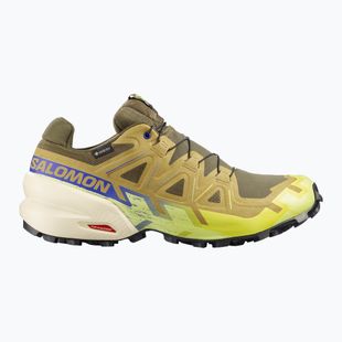 Herren-Laufschuhe Salomon Speedcross 6 GTX grape leaf/aspargus green