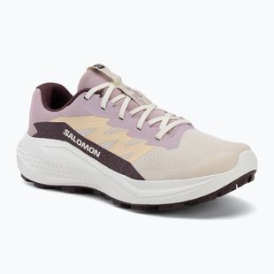 Laufschuhe für Damen Salomon Alphaglide tapioca/dawn pink