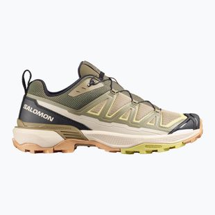 Trekkingschuhe Herren Salomon X Ultra 360 Edge aloe/slate green