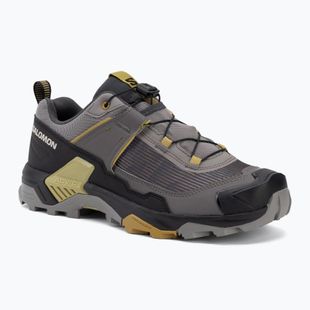 Trekkingschuhe Herren Salomon X Ultra 5 cloudburst/black/willow
