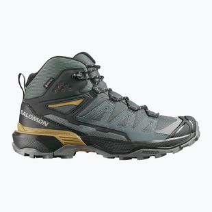 Herren-Trekkingschuhe Salomon X Ultra 360 MID GTX urban chic/black