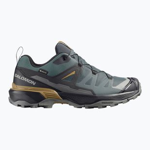 Herren-Trekkingschuhe Salomon X Ultra 360 GTX urban chic/black