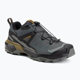 Herren-Trekkingschuhe Salomon X Ultra 360 GTX urban chic/black