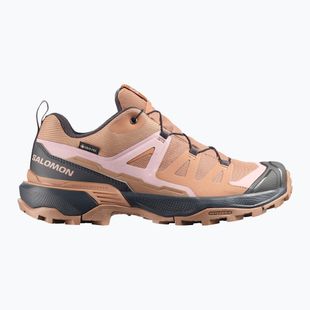 Damen-Trekkingschuhe Salomon X Ultra 360 GTX burro/asphalt