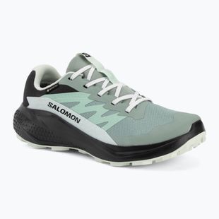 Laufschuhe für Damen Salomon Alphaglide GTX green milieu/asphalt