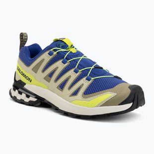 Herren-Laufschuhe Salomon XA Pro 3D V9 bluing/bog/acid lime