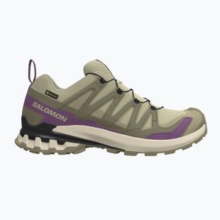 Laufschuhe für Damen Salomon XA Pro 3D V9 GTX bog/aloe