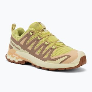 Damen-Laufschuhe Salomon XA Pro 3D V9 endive/burro/almond cream