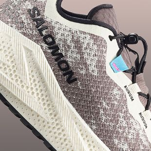 Herren-Laufschuhe Salomon Aero Glide 4 GRVL vanilla ice/black/iron