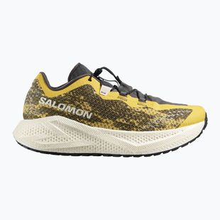 Herren-Laufschuhe Salomon Aero Glide 4 GRVL beach ball/asphalt/vanilla ice