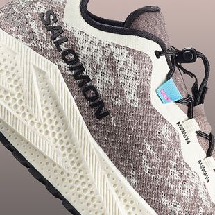 Damen-Laufschuhe Salomon Aero Glide 4 GRVL vanilla ice/black iron