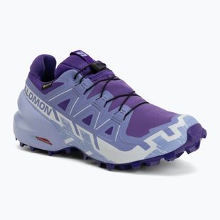 Laufschuhe für Damen Salomon Speedcross 6 GTX deep blue/brunnera blue