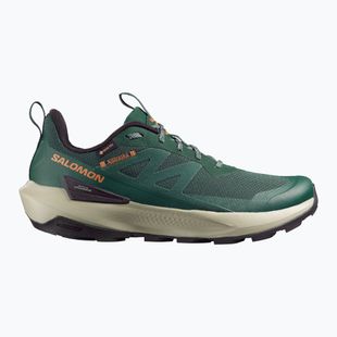 Herren Wanderschuhe Salomon Elixir Activ GTX scarab/green gable