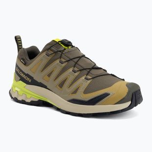 Herren-Laufschuhe Salomon XA Pro 3D V9 GTX grape leaf/aloe