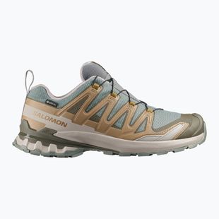 Herren-Laufschuhe Salomon XA Pro 3D V9 GTX sedona sage/brilliant olive