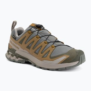 Herren-Laufschuhe Salomon XA Pro 3D V9 GTX sedona sage/brilliant olive