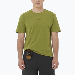 Herren-Shirt Salomon Trackline cardamon seed