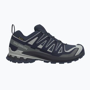 Herren-Laufschuhe Salomon XA Pro 3D V9 GTX spellbound/maritime blue