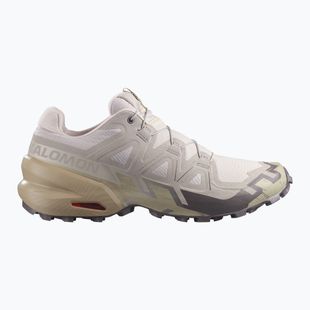 Herren-Laufschuhe Salomon Speedcross 6 silver cloud/paloma