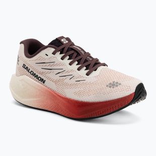 Laufschuhe für Damen Salomon Aero Blaze 4 vanilla ice/huckleberry