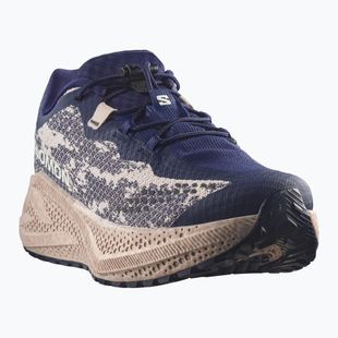 Herren-Laufschuhe Salomon Aero Glide 4 GRVL maritime blue/silver cloud