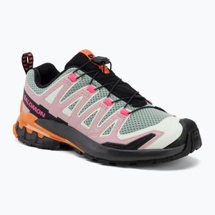 Damen-Laufschuhe Salomon XA Pro 3D V9 Icon grün milieu/schwarz