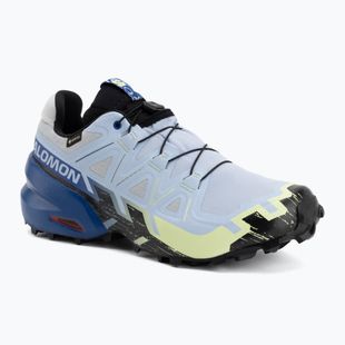 Herren-Laufschuhe Salomon Speedcross 6 GTX Icon brunnera blue/surf the web