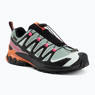 Laufschuhe für Damen Salomon XA Pro 3D V9 GTX Icon black/green milieu