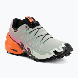 Laufschuhe für Damen Salomon Speedcross 6 GTX Icon black/green milieu