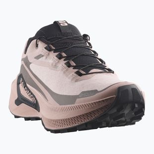 Laufschuhe für Damen Salomon Genesis 2 GTX shadow gray/iron