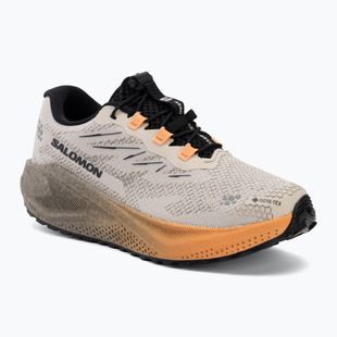 Laufschuhe für Damen Salomon Aero Blaze 4 GRVL GTX rainy day/black