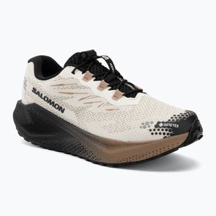 Herren-Laufschuhe Salomon Aero Blaze 4 GRVL GTX vanilla ice/black