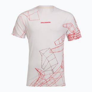 Herren-Laufshirt Salomon S\Lab Speed Tee SS lilac ash