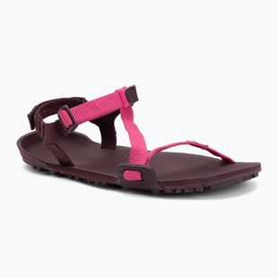 Damen Barfußsandalen Xero Shoes Z-Trail EV fuchsia purple