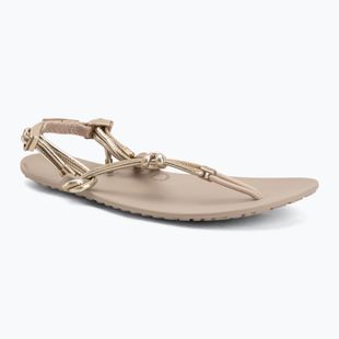 Damen Barfußsandalen Xero Shoes Genesis gold metallic