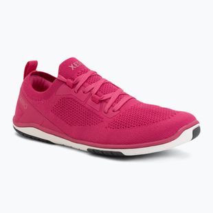 Damen Barfußschuhe Xero Shoes Nexus Knit fuchsia purple