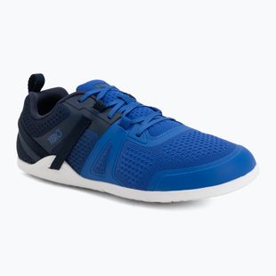 Barfußschuhe für Herren Xero Shoes Prio Neo blue lolite