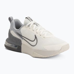 Herren Trainingsschuhe Nike Air Max Alpha Trainer 6 sail/light smoke grey/phantom/pencil point