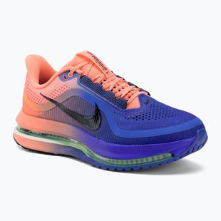Herren-Laufschuhe Nike Pegasus Premium racer blue/atomic pink/volt tint/black