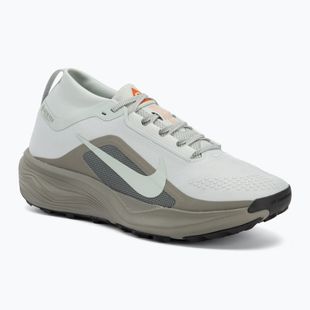 Herren-Laufschuhe Nike ACG Pegasus Trail GORE-TEX Light Silver/Light Army/Light Silver
