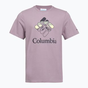 Herren T-Shirt Columbia CSC Seasonal Graphic shale purple/heavenly stacked gem