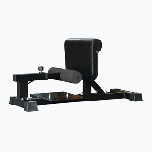 Trainingbank Sveltus Sissy Squat black
