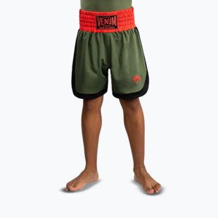 Kinder-Trainingsshorts Venum Classic Khaki