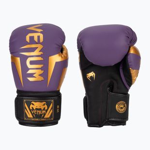Venum Elite dunkel lila Boxhandschuhe