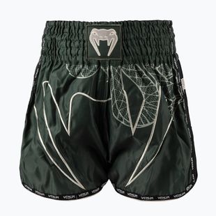 Herren-Trainingsshorts Venum Serpenti Muay Thai khaki/bronze/ivory
