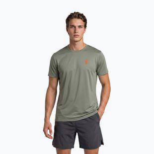 Herren-Shirt Aulp Tommy lichen