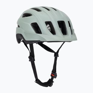 Fahrradhelm Alpina Paranus MIPS weidengrün matt