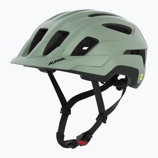 Fahrradhelm Alpina Paranus MIPS weidengrün matt