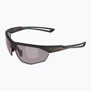 Sonnenbrille Alpina Nylos HR gun matt/pink