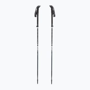 Trekkingstöcke LEKI Makalu FX TA black stone blue/dark white